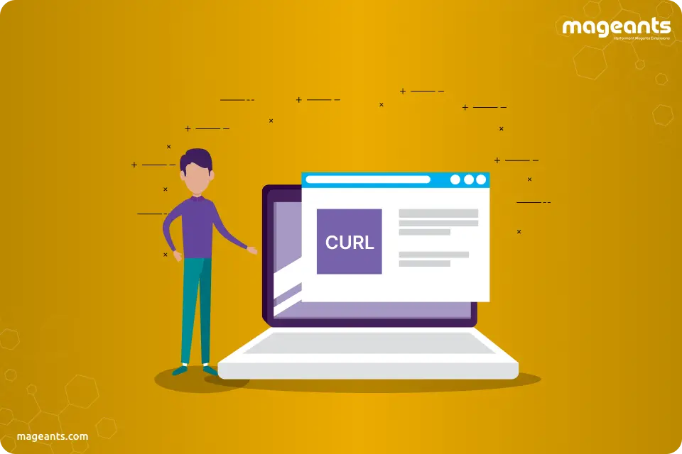 How to Use Curl in Magento 2?